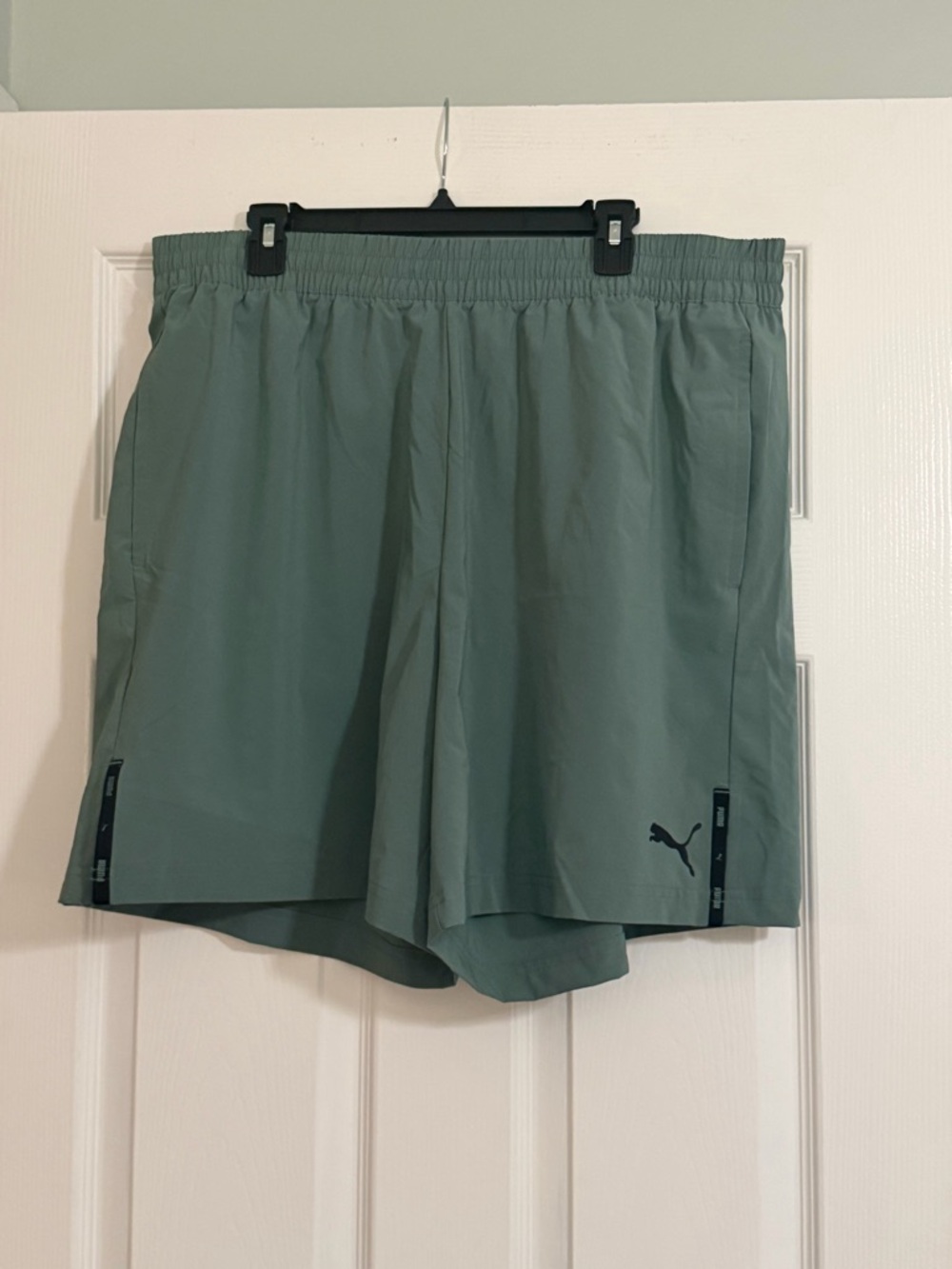 Puma Men's Sage Green Athletic Shorts